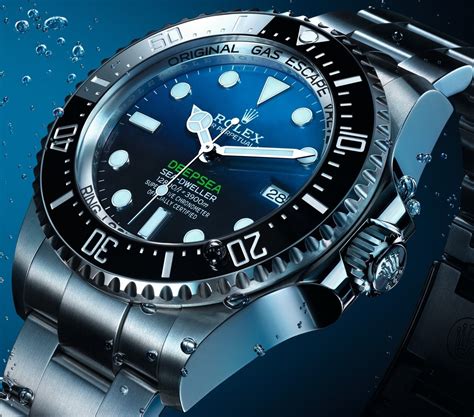 rolex divers watches